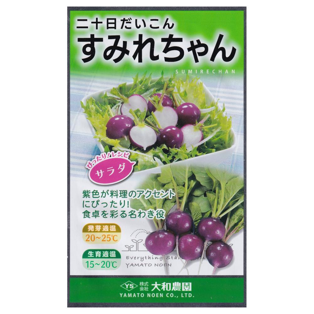 【宅配専用】　根菜種子　二十日大根　すみれちゃん