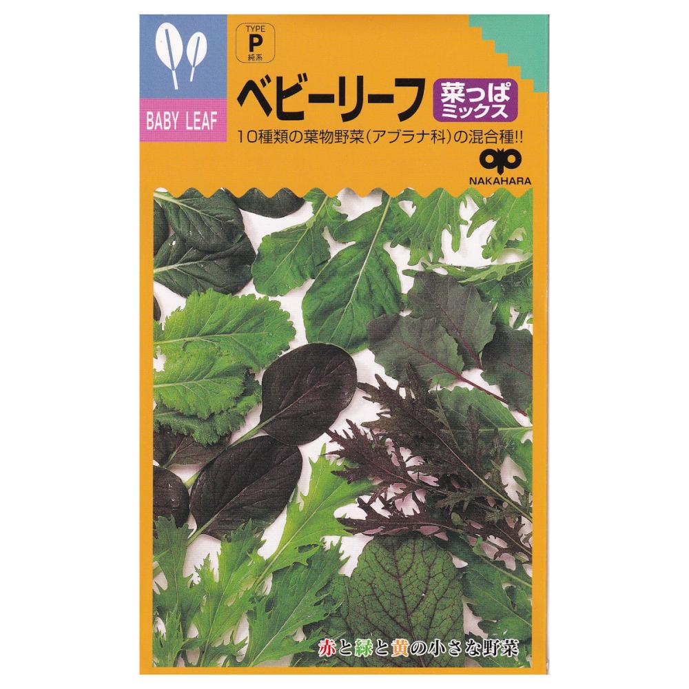 【宅配専用】　葉菜種子　ベビーリーフ　菜っぱミックス