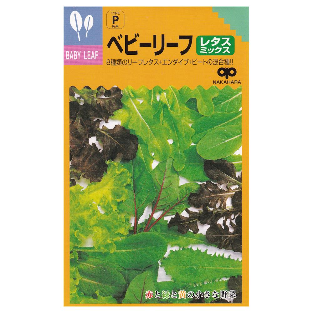 【宅配専用】　葉菜種子　ベビーリーフ　レタスミックス