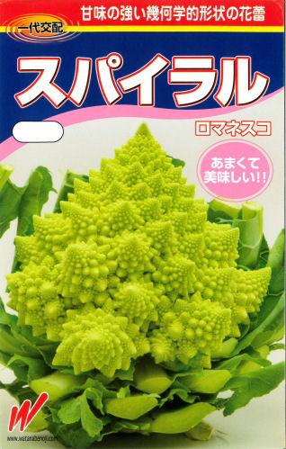 【宅配専用】　カリフラワー種子　スパイラル