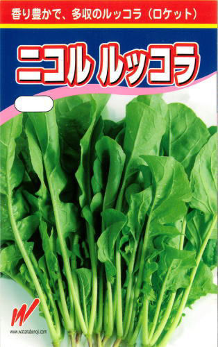 【宅配専用】　葉菜種子　ニコル　ルッコラ