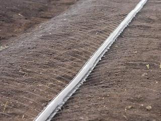 スミサンスイＮＥＷマルチ１００－０３　２００ｍ