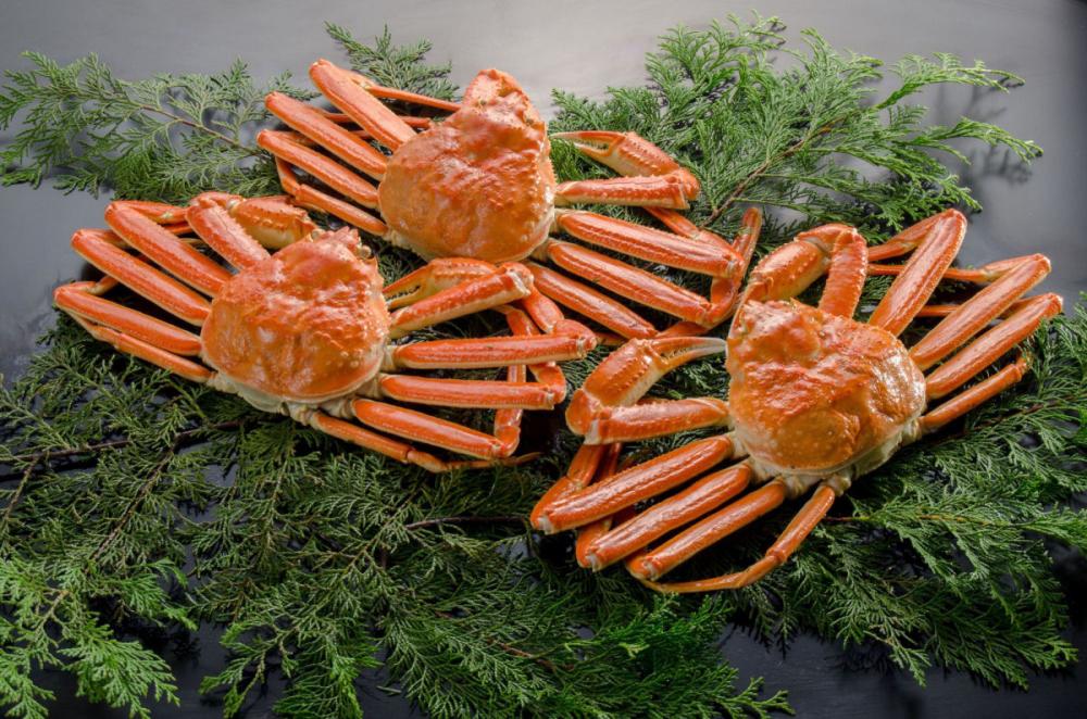 本ズワイ蟹３尾（総量１．３ｋｇ前後）