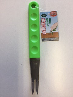 緑館　雑草抜き