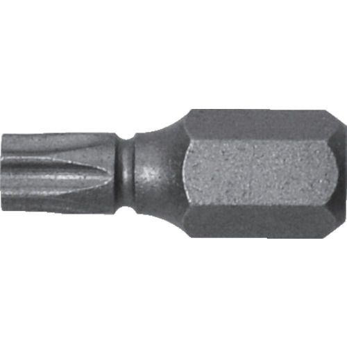 アネックス　溝付超短ヘクスローブビット１本組　Ｔ２５×１９　（穴付）＿