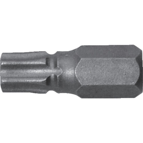 アネックス　溝付超短ヘクスローブビット１本組　Ｔ３０×１９　（穴付）＿