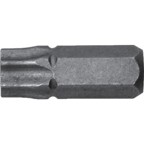 アネックス　溝付超短ヘクスローブビット１本組　Ｔ４０×１９　（穴付）＿