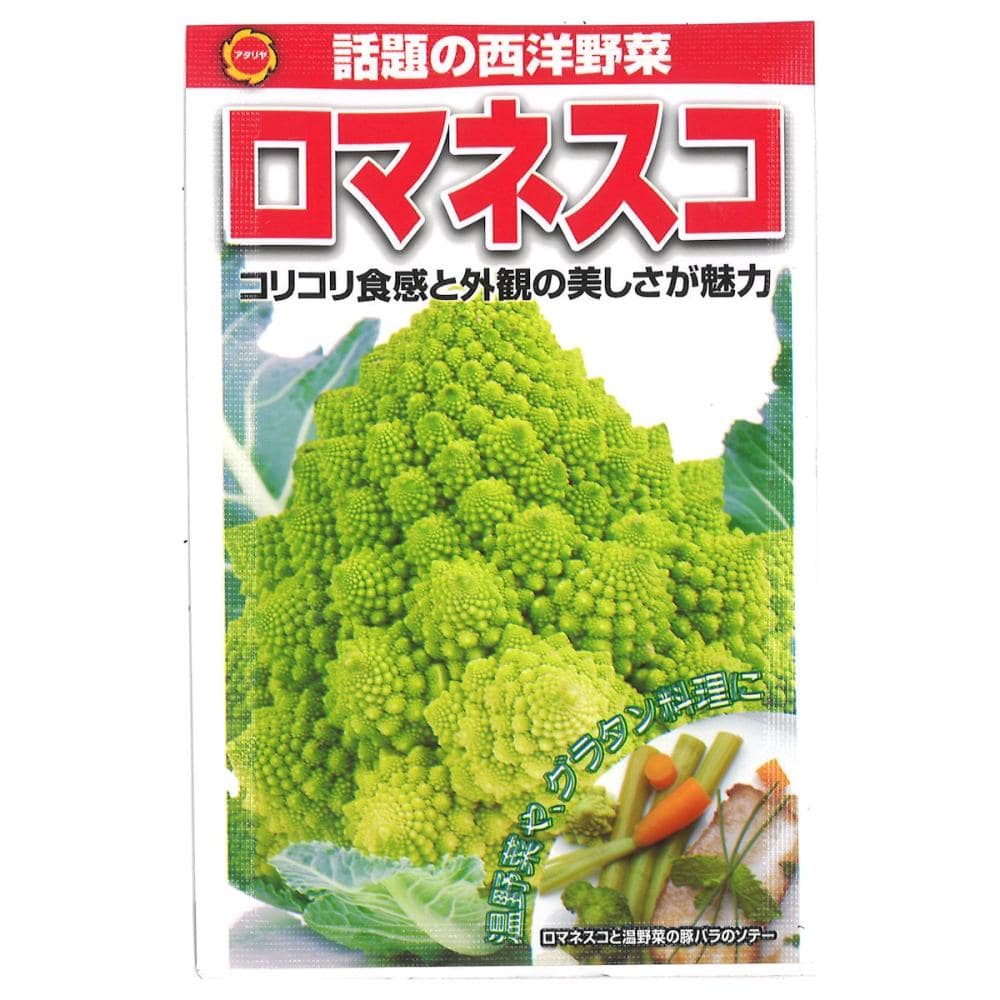 カリフラワー種子　ロマネスコ