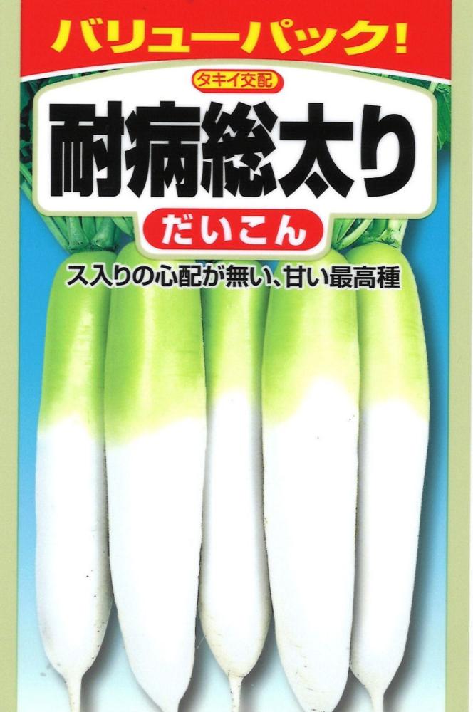 ＳＢ　タキイ耐病総太り大根　お徳用