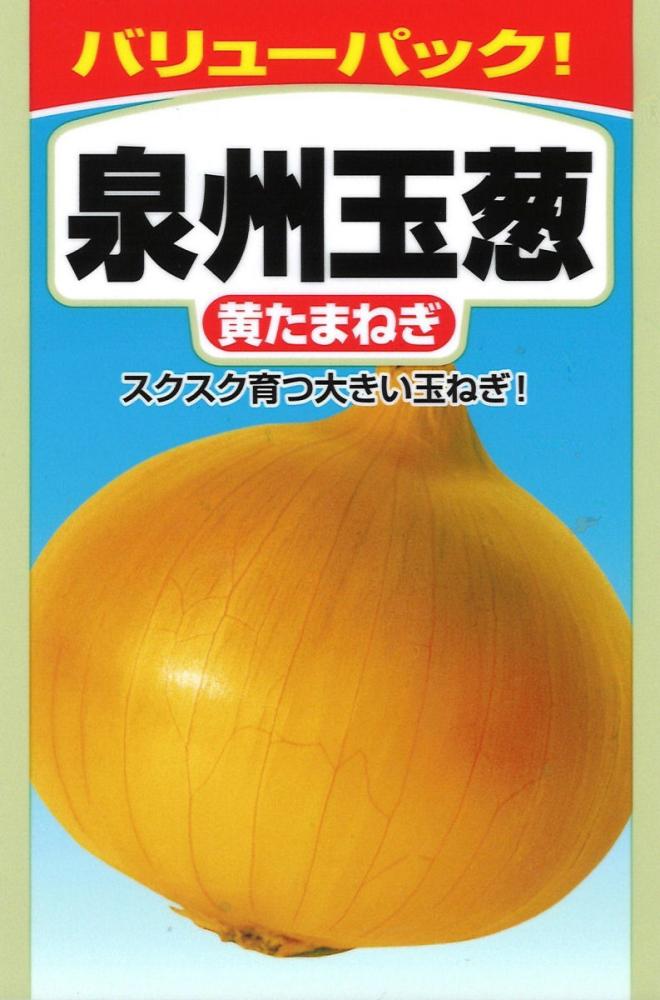 ＳＢ　泉州黄玉葱　お徳用