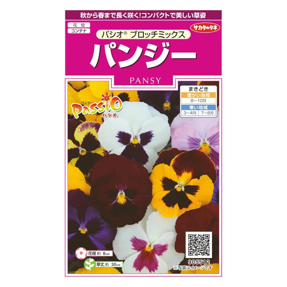 パンジー　パシオブロッチ　ミックス
