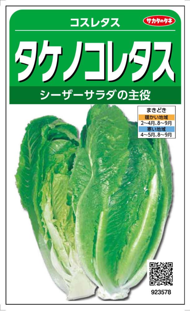 タケノコレタス　コスレタス