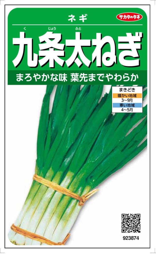 九条太ねぎ