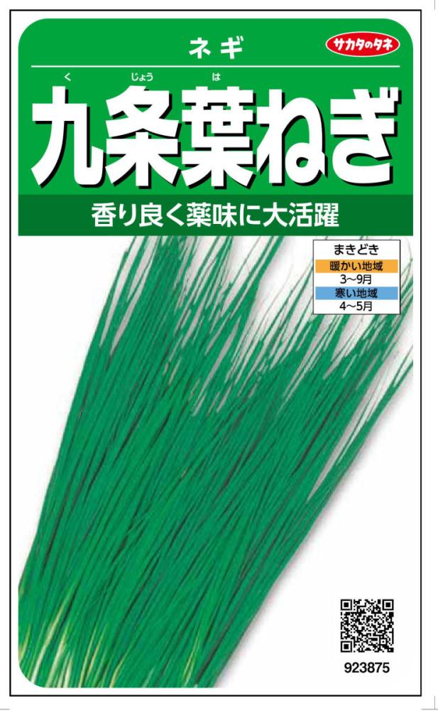 九条葉ねぎ