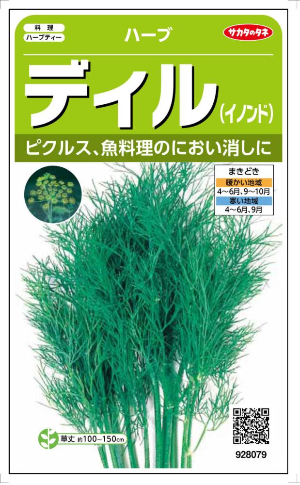 ハーブ　ディル