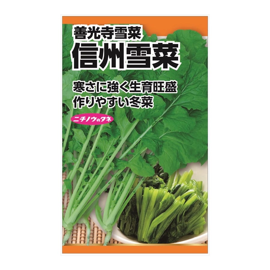 ニチノウのタネ　信州雪菜（善光寺雪菜）