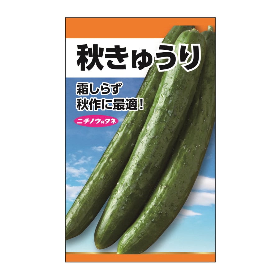 ニチノウのタネ　秋きゅうり