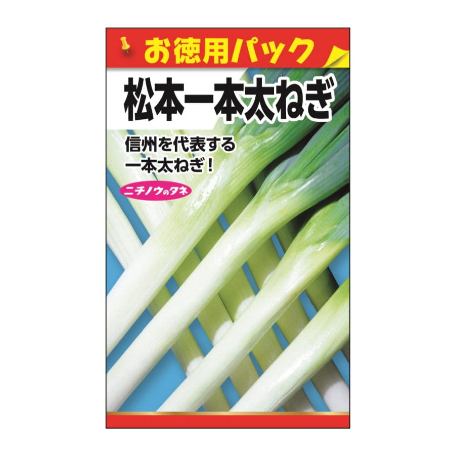 ニチノウのタネ　松本一本太ねぎ　お徳用パック