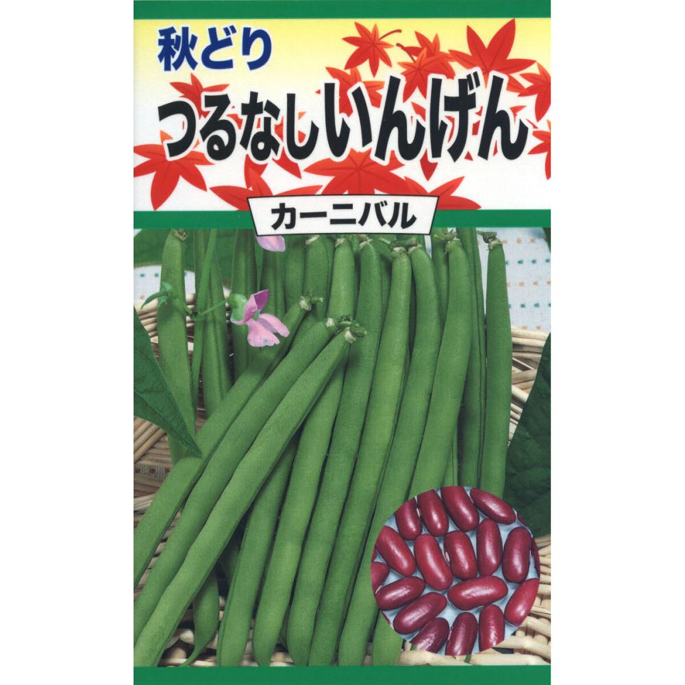 秋どり　つるなしいんげん　カーニバル