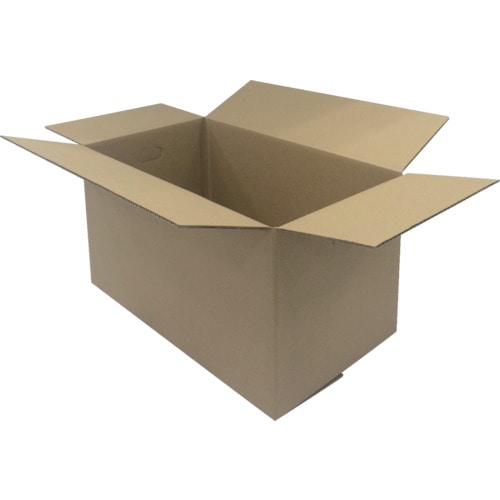 ＩＲＩＳ　段ボールＢＯＸ　ＤＢ－Ｌ１＿