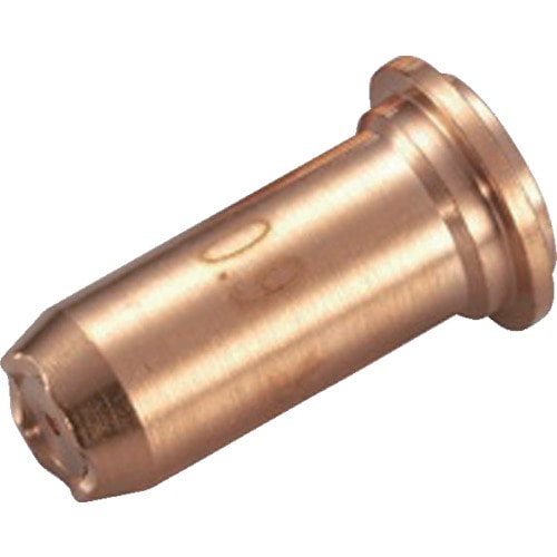 マイト　チップ　（１０個入）＿