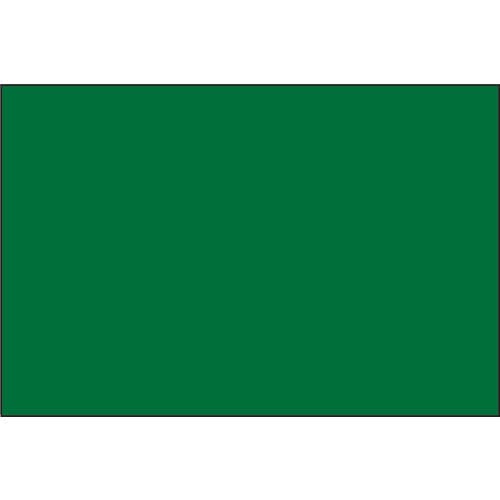 ＤＯＧＹＵ　ビューボードグリーンＤ－１Ｇ用プレート（無地）＿