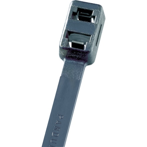 パンドウイット　ダブルループ結束バンド　耐熱性黒　（２５０本入）＿