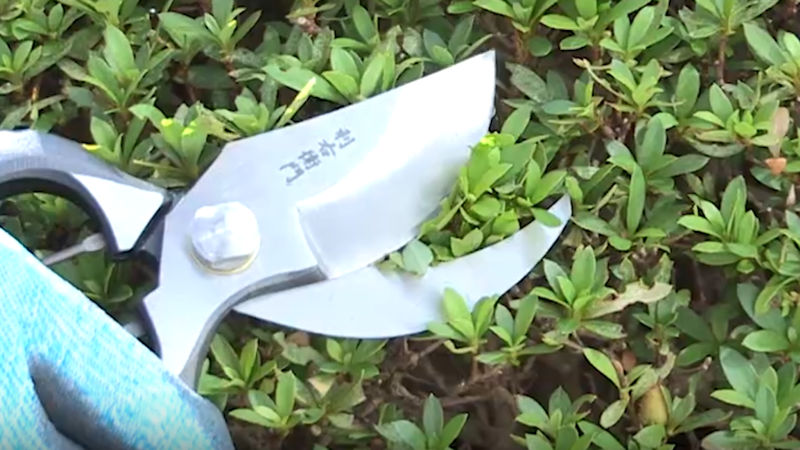 商品動画サムネイル