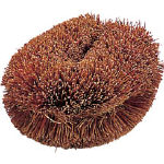 ＴＲＵＳＣＯ　ナチュラルブラシ「いがぐり君」　１７０ｍｍ＿