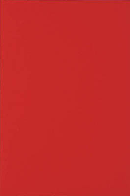 ＴＲＵＳＣＯ　マグネットシート艶無２００Ｘ３００　赤＿