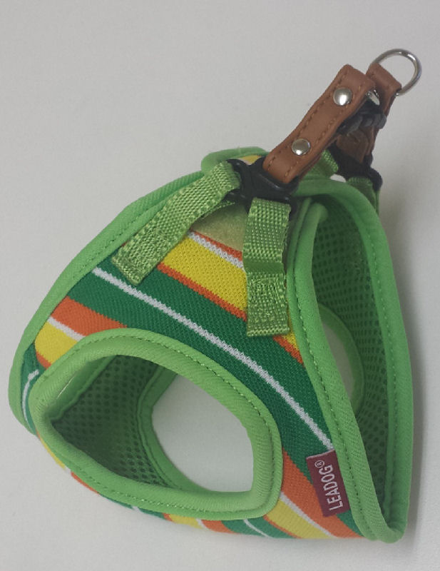 パステルボーダーソフトハーネス　ＳＳ／グリーン