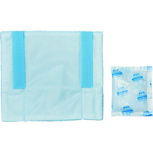 ＴＲＵＳＣＯ　たれクール＿