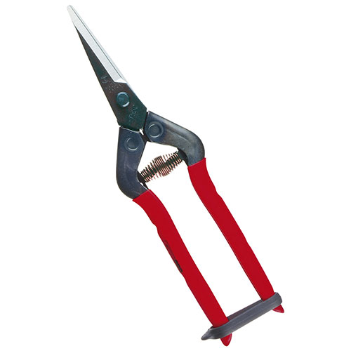 チカマサ　芽切・摘果鋏　Ｔ－５５ＣＨ