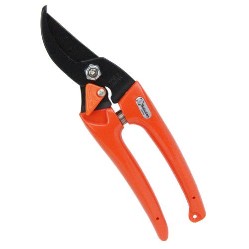 サボテン　レディース剪定鋏　オレンジ