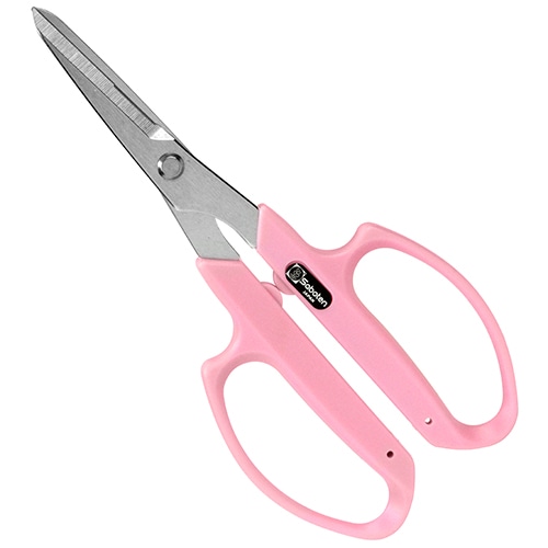 サボテン　シャインカットプラス　ピンク