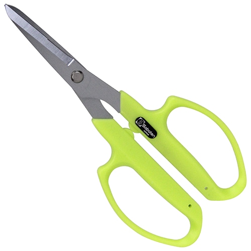 サボテン　シャインカットプラス　グリーン