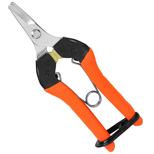 サボテン　衝撃吸収　採果はさみ　Ｎｏ．ＡＧ－２