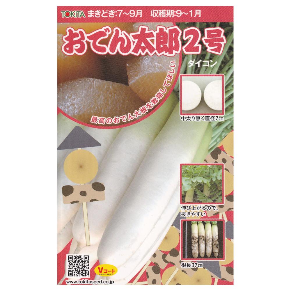 【宅配専用】　根菜種子　おでん太郎２号　大根