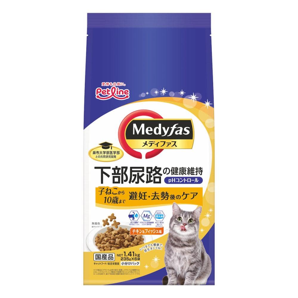 子ねこから１０歳まで　避妊・去勢後のケア