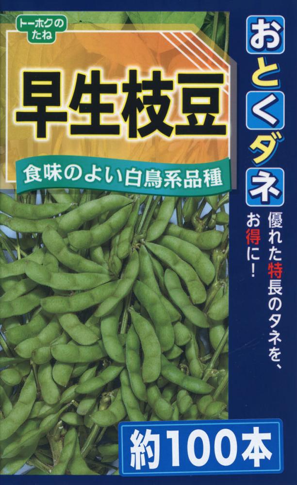 エダマメ種子　おとくダネ　早生枝豆