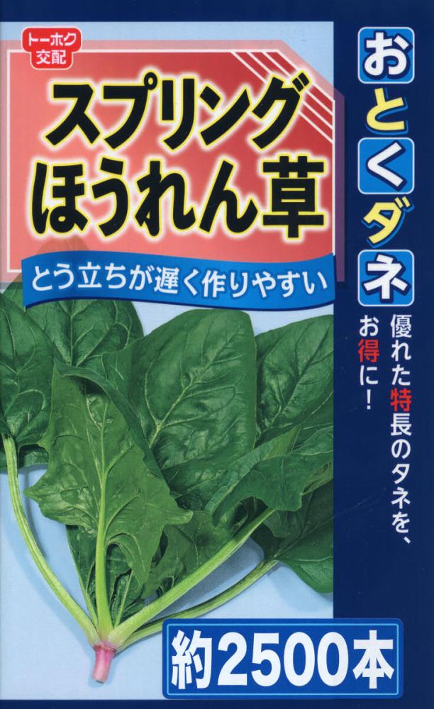 ホウレンソウ種子　おとくダネ　スプリングほうれん草