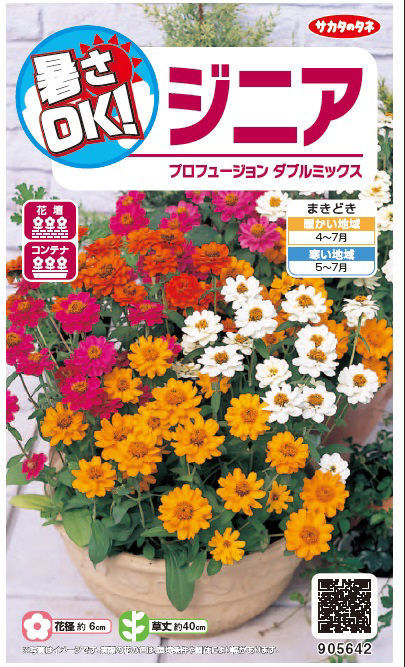 百日草種子　暑さＯＫ　ジニア　プロフュージョンダブルミックス