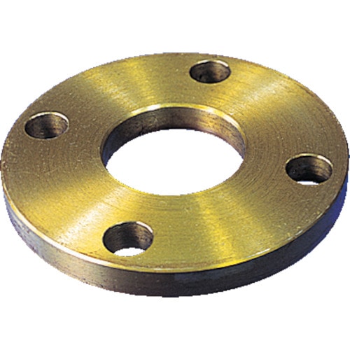 イシグロ　フランジＰＬ型ＳＳ４００＿