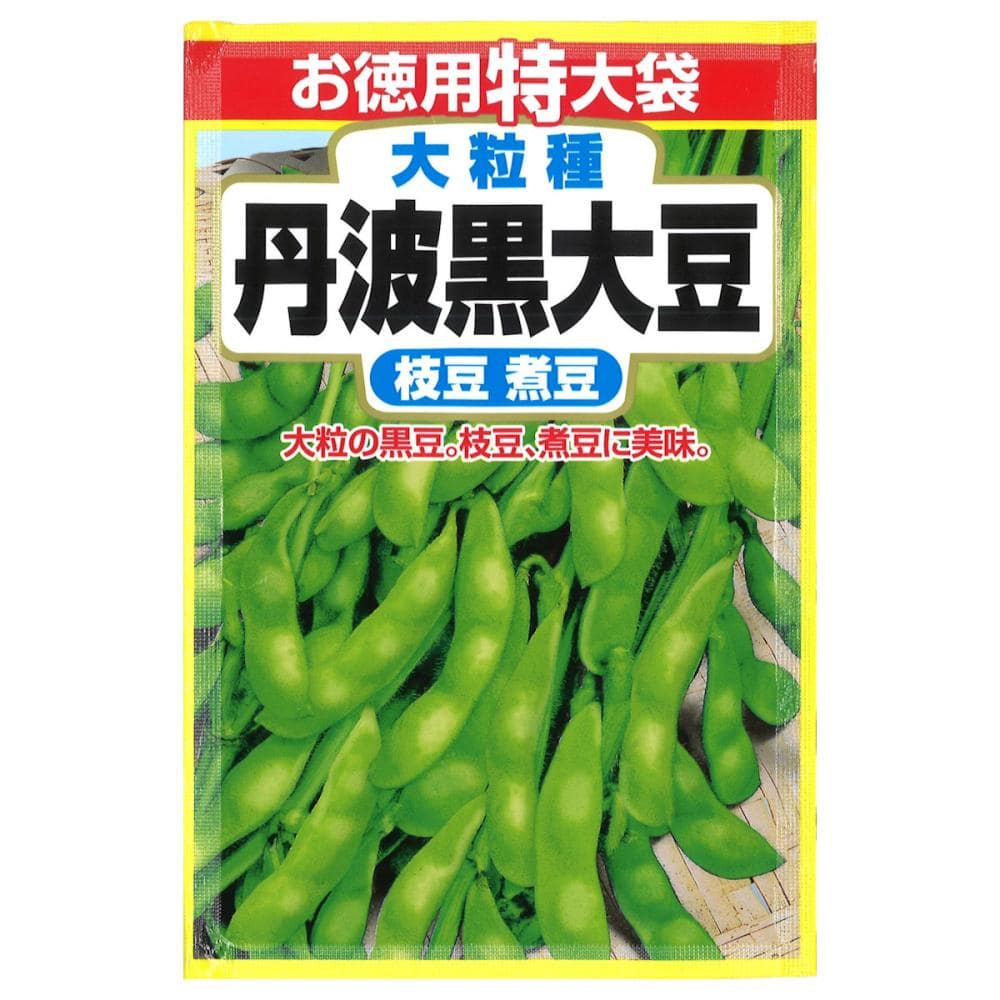 大豆種子　丹波黒大豆　徳用特大