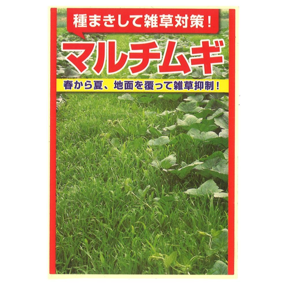 土壌改良種子　マルチ麦（アタリヤ）