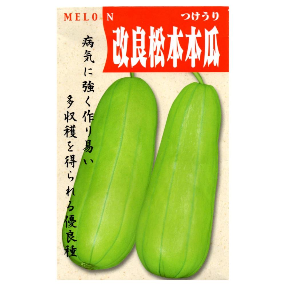ウリ種子　改良松本瓜