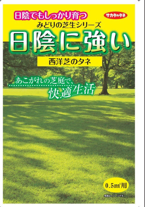 西洋芝種子　日陰に強い芝生　０．５平方メートル用