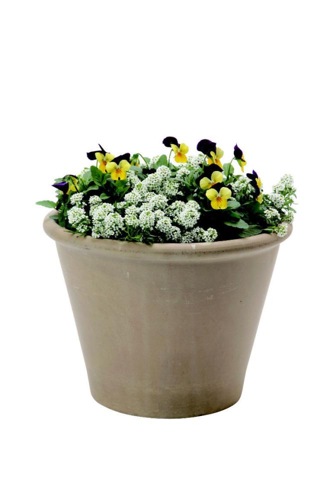 ＤＥＧＲＥＡ　ヴァズム　３１×２３ｃｍ　モカ