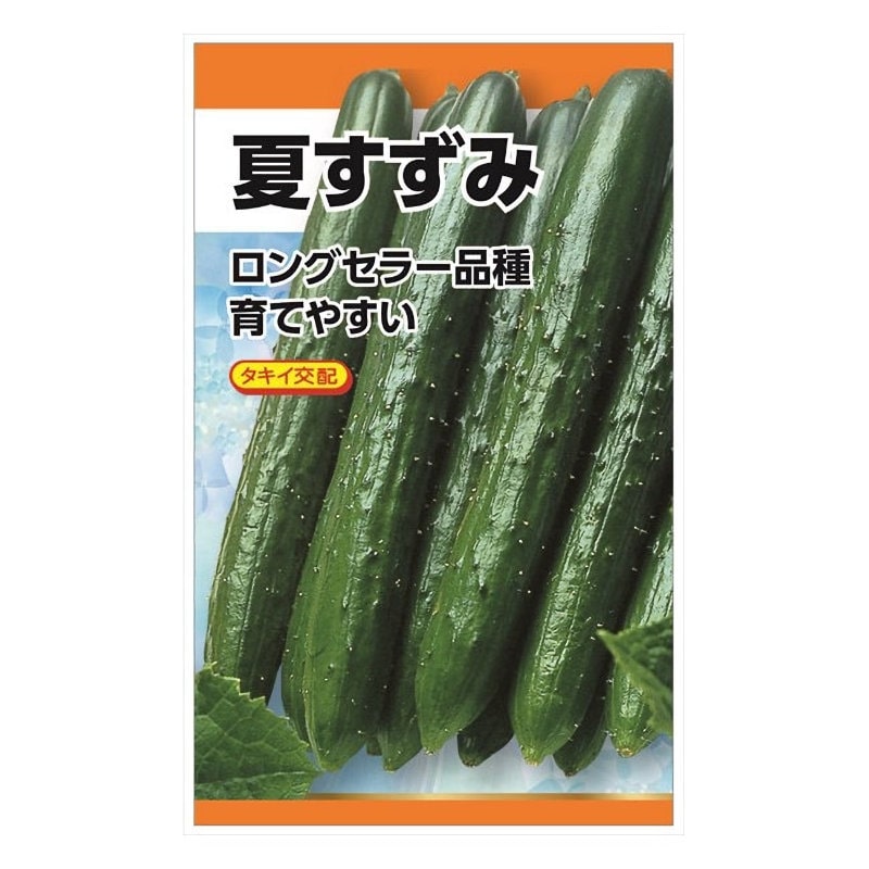 ニチノウのタネ　キュウリ種子　夏すずみ