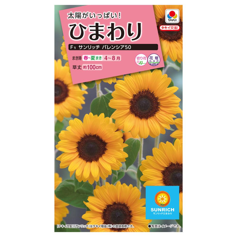 ヒマワリ種子　ひまわり　Ｆ１　サンリッチ　バレンシア５０
